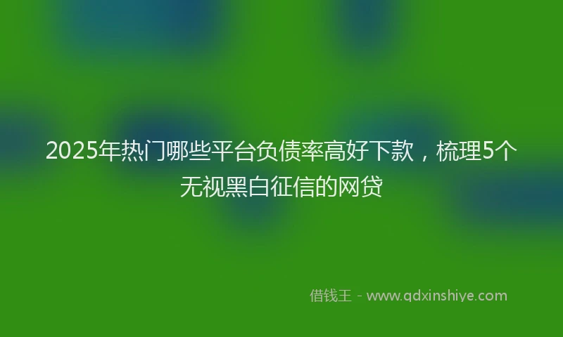 2025年热门哪些平台负债率高好下款，梳理5个无视黑白征信的网贷