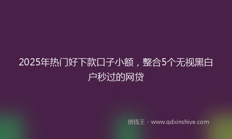 2025年热门好下款口子小额，整合5个无视黑白户秒过的网贷