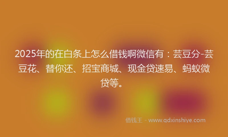 2025年的在白条上怎么借钱啊微信有：芸豆分-芸豆花、替你还、招宝商城、现金贷速易、蚂蚁微贷等。