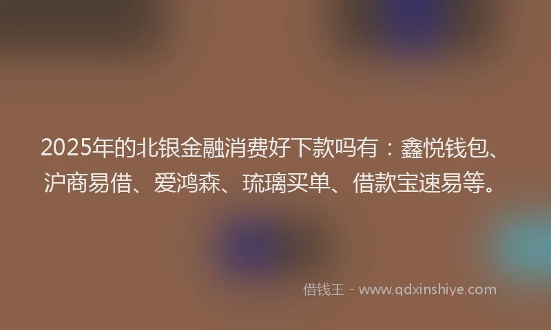 2025年的北银金融消费好下款吗有：鑫悦钱包、沪商易借、爱鸿森、琉璃买单、借款宝速易等。