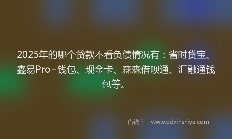 2025年的哪个贷款不看负债情况有：省时贷宝、鑫易Pro+钱包、现金卡、森森借呗通、汇融通钱包等。