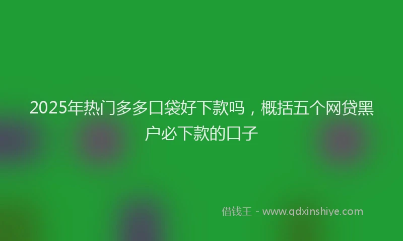 2025年热门多多口袋好下款吗，概括五个网贷黑户必下款的口子