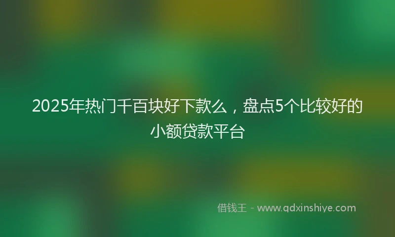 2025年热门千百块好下款么，盘点5个比较好的小额贷款平台