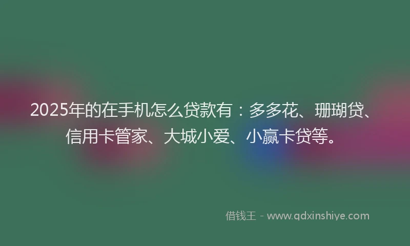 2025年的在手机怎么贷款有：多多花、珊瑚贷、信用卡管家、大城小爱、小赢卡贷等。