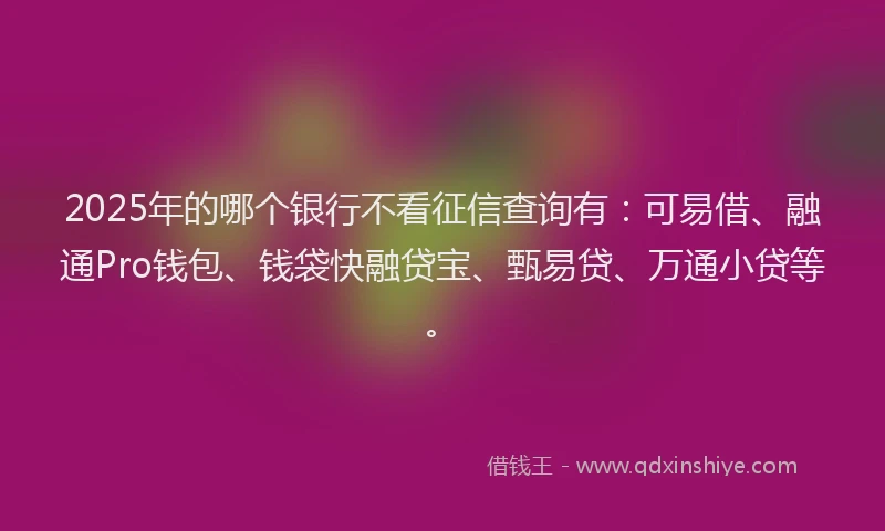 2025年的哪个银行不看征信查询有：可易借、融通Pro钱包、钱袋快融贷宝、甄易贷、万通小贷等。