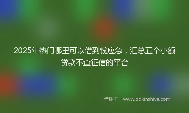 2025年热门哪里可以借到钱应急，汇总五个小额贷款不查征信的平台