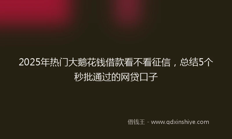 2025年热门大鹅花钱借款看不看征信，总结5个秒批通过的网贷口子