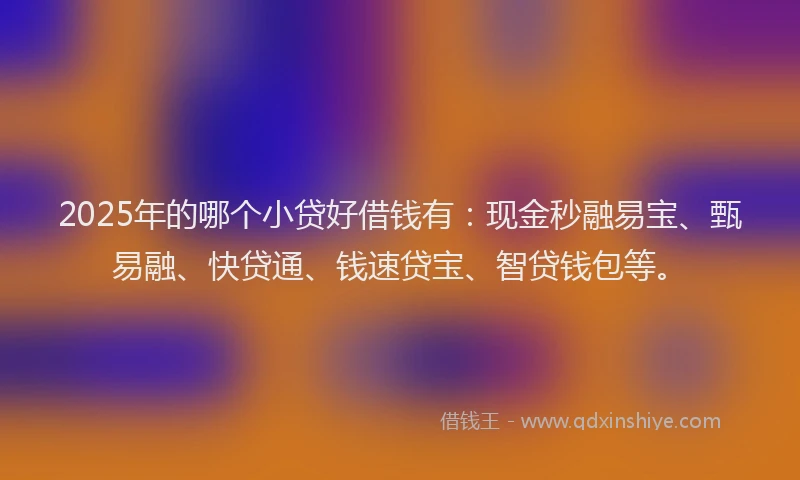 2025年的哪个小贷好借钱有：现金秒融易宝、甄易融、快贷通、钱速贷宝、智贷钱包等。