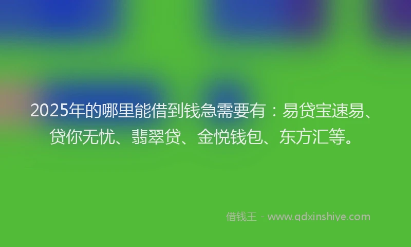 2025年的哪里能借到钱急需要有：易贷宝速易、贷你无忧、翡翠贷、金悦钱包、东方汇等。