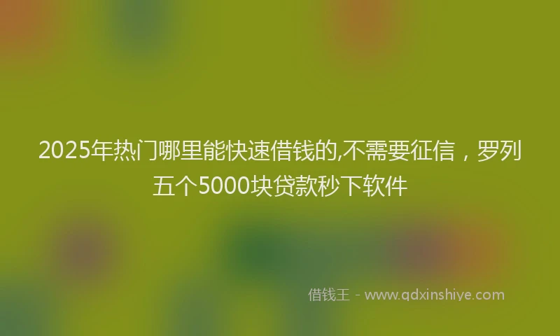 2025年热门哪里能快速借钱的,不需要征信，罗列五个5000块贷款秒下软件