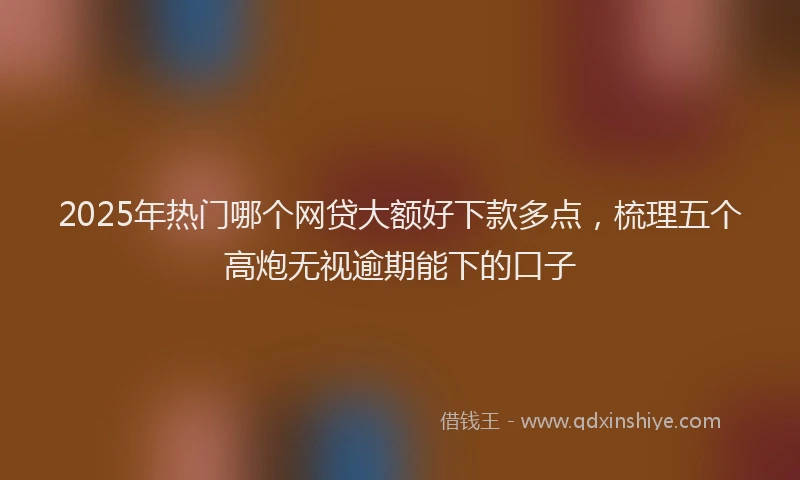 2025年热门哪个网贷大额好下款多点，梳理五个高炮无视逾期能下的口子