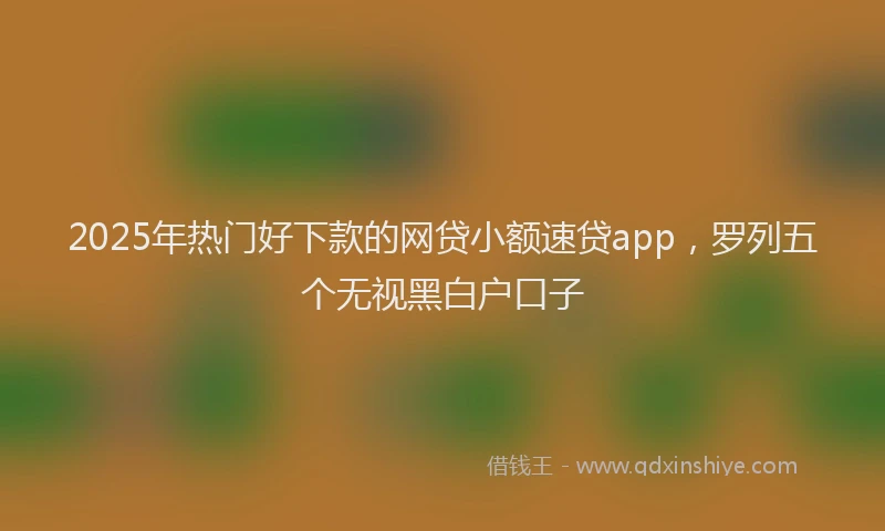 2025年热门好下款的网贷小额速贷app，罗列五个无视黑白户口子