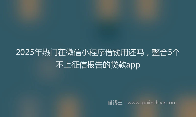 2025年热门在微信小程序借钱用还吗，整合5个不上征信报告的贷款app