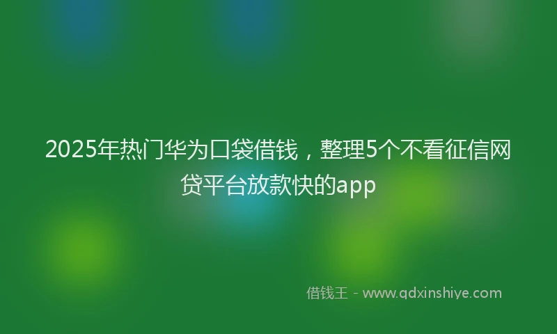 2025年热门华为口袋借钱，整理5个不看征信网贷平台放款快的app