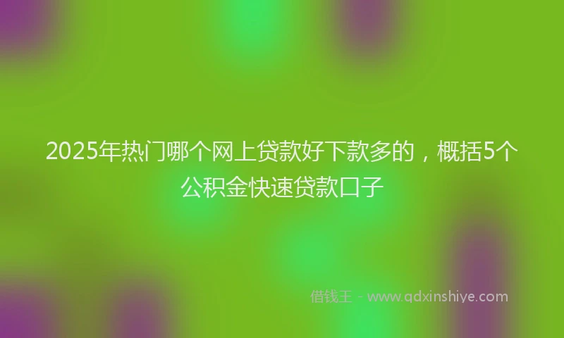 2025年热门哪个网上贷款好下款多的，概括5个公积金快速贷款口子