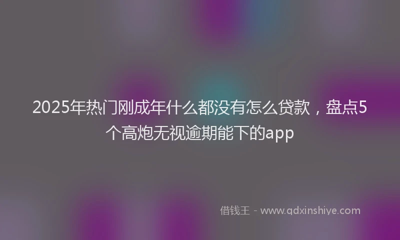 2025年热门刚成年什么都没有怎么贷款，盘点5个高炮无视逾期能下的app