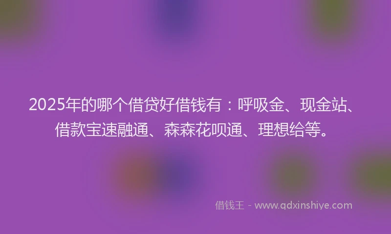 2025年的哪个借贷好借钱有：呼吸金、现金站、借款宝速融通、森森花呗通、理想给等。