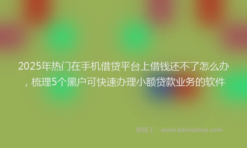 2025年热门在手机借贷平台上借钱还不了怎么办，梳理5个黑户可快速办理小额贷款业务的软件