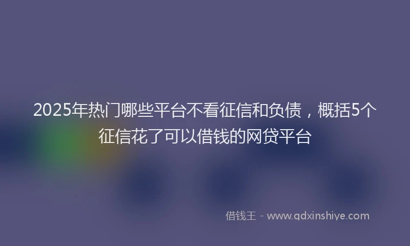 2025年热门哪些平台不看征信和负债，概括5个征信花了可以借钱的网贷平台