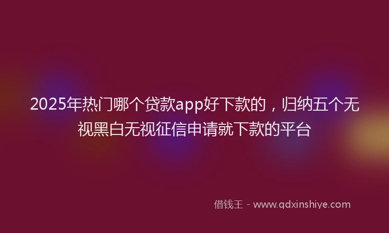 2025年热门哪个贷款app好下款的，归纳五个无视黑白无视征信申请就下款的平台