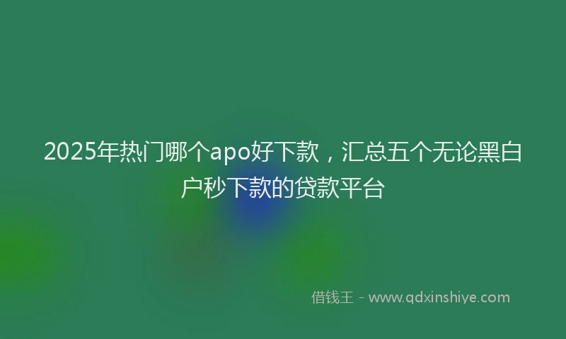 2025年热门哪个apo好下款，汇总五个无论黑白户秒下款的贷款平台