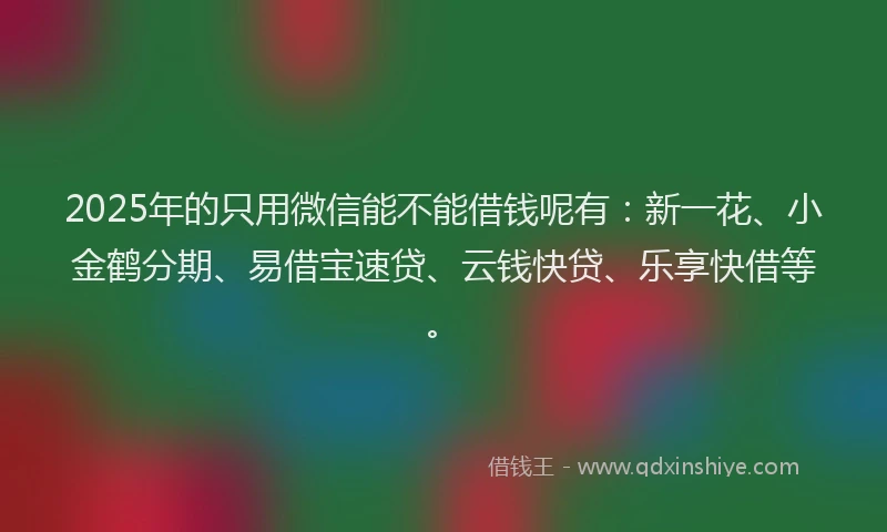 2025年的只用微信能不能借钱呢有：新一花、小金鹤分期、易借宝速贷、云钱快贷、乐享快借等。