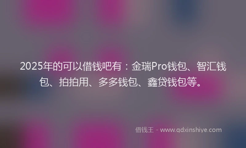 2025年的可以借钱吧有：金瑞Pro钱包、智汇钱包、拍拍用、多多钱包、鑫贷钱包等。