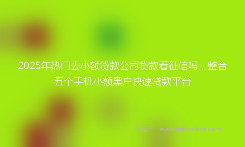 2025年热门去小额贷款公司贷款看征信吗，整合五个手机小额黑户快速贷款平台
