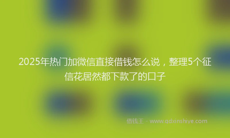 2025年热门加微信直接借钱怎么说，整理5个征信花居然都下款了的口子