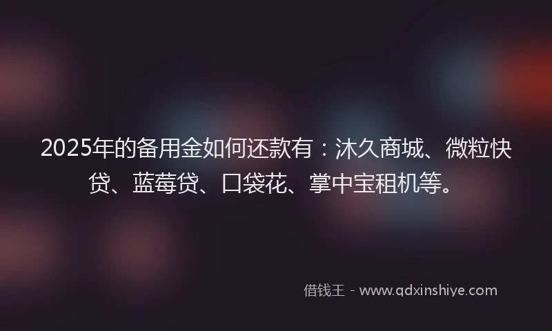 2025年的备用金如何还款有：沐久商城、微粒快贷、蓝莓贷、口袋花、掌中宝租机等。