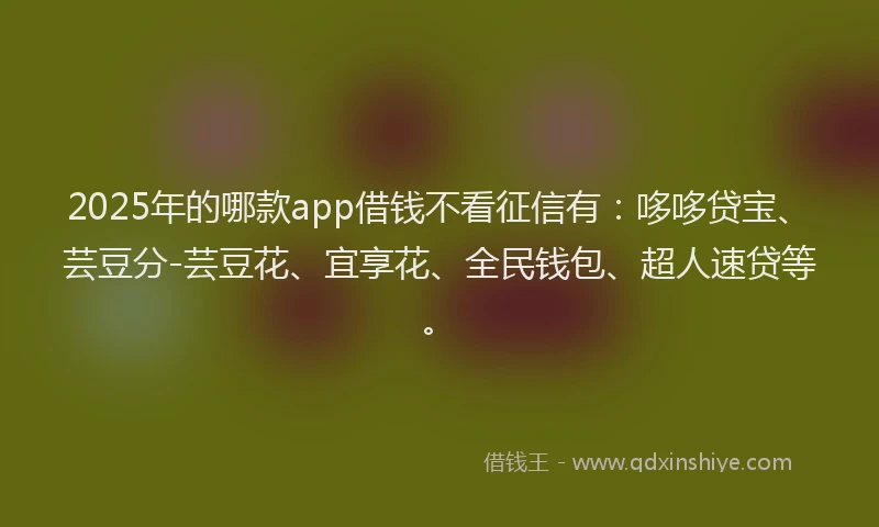 2025年的哪款app借钱不看征信有：哆哆贷宝、芸豆分-芸豆花、宜享花、全民钱包、超人速贷等。