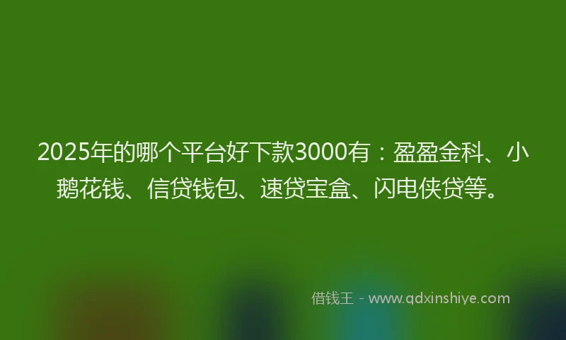2025年的哪个平台好下款3000有：盈盈金科、小鹅花钱、信贷钱包、速贷宝盒、闪电侠贷等。