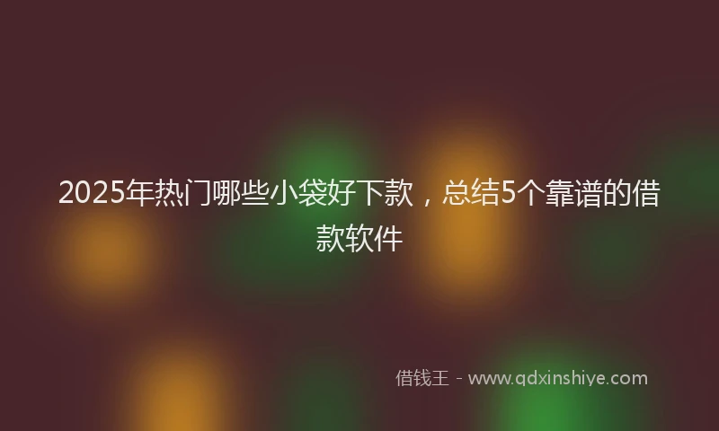 2025年热门哪些小袋好下款，总结5个靠谱的借款软件