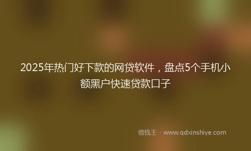 2025年热门好下款的网贷软件，盘点5个手机小额黑户快速贷款口子
