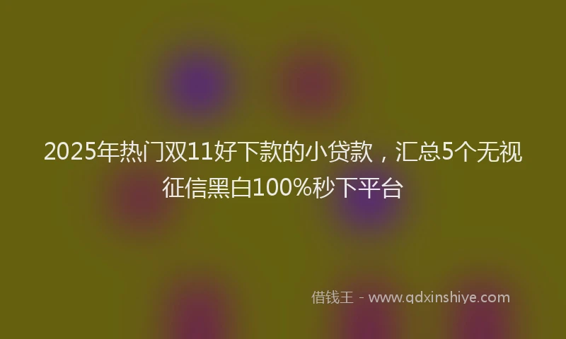2025年热门双11好下款的小贷款，汇总5个无视征信黑白100%秒下平台