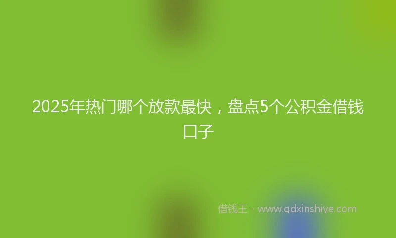 2025年热门哪个放款最快，盘点5个公积金借钱口子