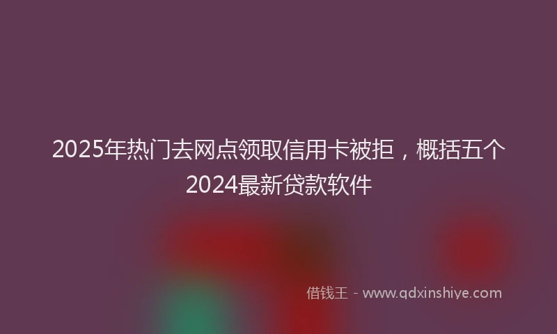 2025年热门去网点领取信用卡被拒，概括五个2024最新贷款软件