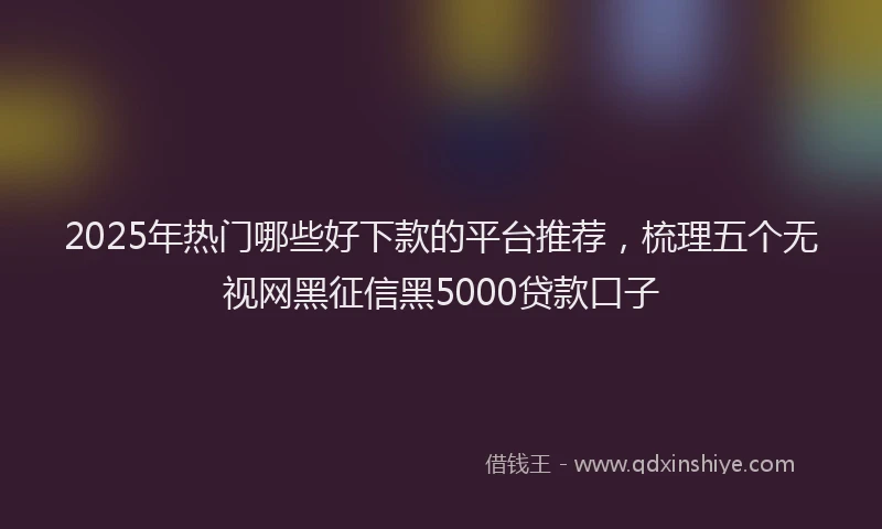 2025年热门哪些好下款的平台推荐，梳理五个无视网黑征信黑5000贷款口子