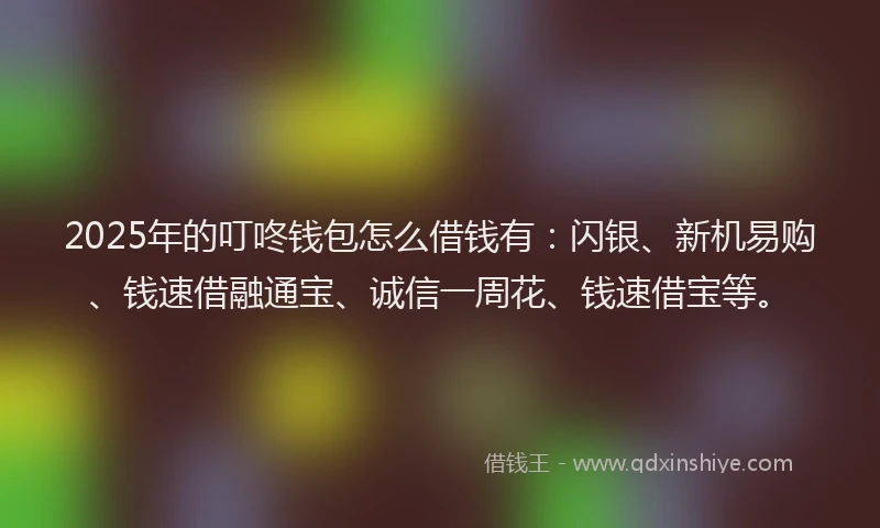 2025年的叮咚钱包怎么借钱有：闪银、新机易购、钱速借融通宝、诚信一周花、钱速借宝等。