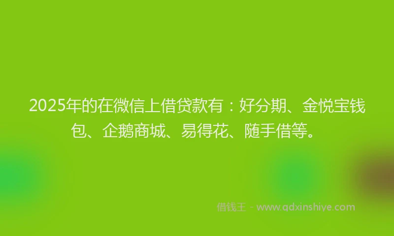 2025年的在微信上借贷款有：好分期、金悦宝钱包、企鹅商城、易得花、随手借等。
