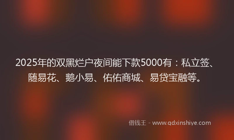 2025年的双黑烂户夜间能下款5000有:私立签、随易花、鹅小易、佑佑商城、易贷宝融等。