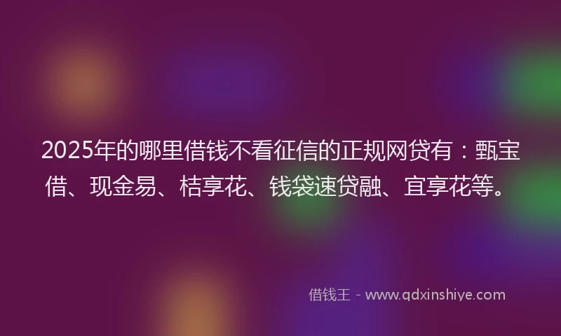 2025年的哪里借钱不看征信的正规网贷有：甄宝借、现金易、桔享花、钱袋速贷融、宜享花等。