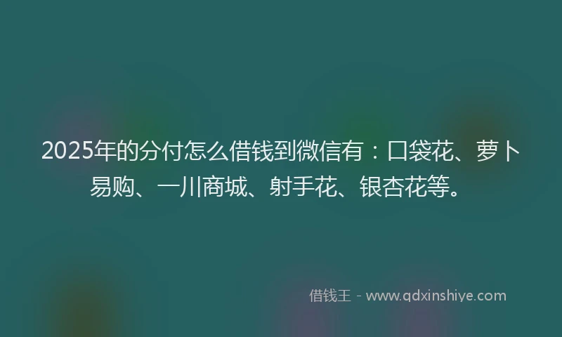 2025年的分付怎么借钱到微信有：口袋花、萝卜易购、一川商城、射手花、银杏花等。