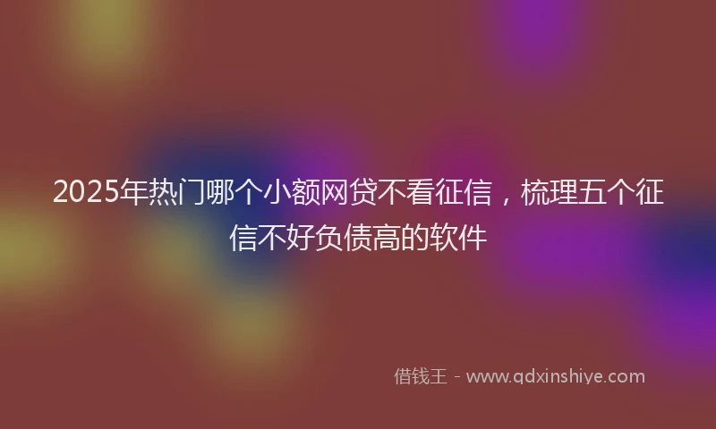 2025年热门哪个小额网贷不看征信，梳理五个征信不好负债高的软件