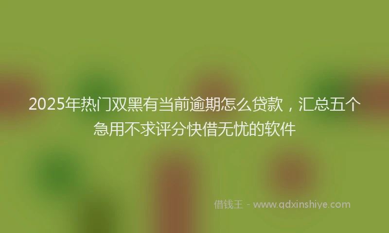 2025年热门双黑有当前逾期怎么贷款，汇总五个急用不求评分快借无忧的软件