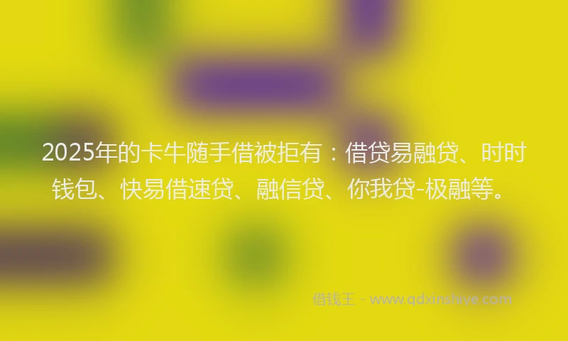 2025年的卡牛随手借被拒有：借贷易融贷、时时钱包、快易借速贷、融信贷、你我贷-极融等。