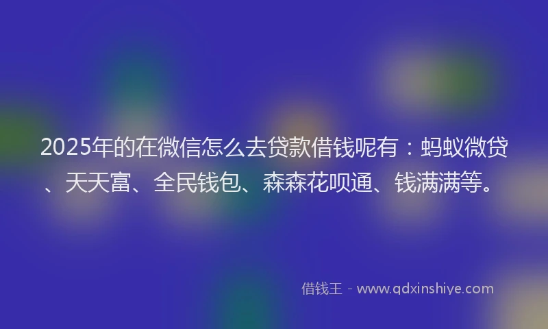 2025年的在微信怎么去贷款借钱呢有：蚂蚁微贷、天天富、全民钱包、森森花呗通、钱满满等。