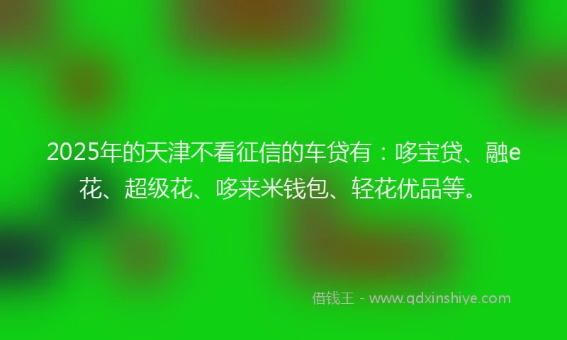 2025年的天津不看征信的车贷有：哆宝贷、融e花、超级花、哆来米钱包、轻花优品等。