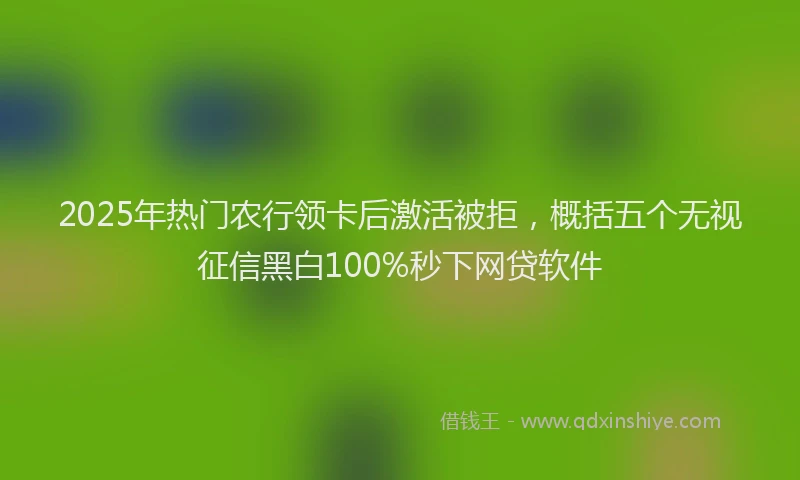 2025年热门农行领卡后激活被拒，概括五个无视征信黑白100%秒下网贷软件