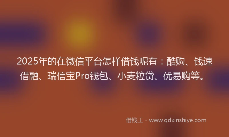 2025年的在微信平台怎样借钱呢有：酷购、钱速借融、瑞信宝Pro钱包、小麦粒贷、优易购等。